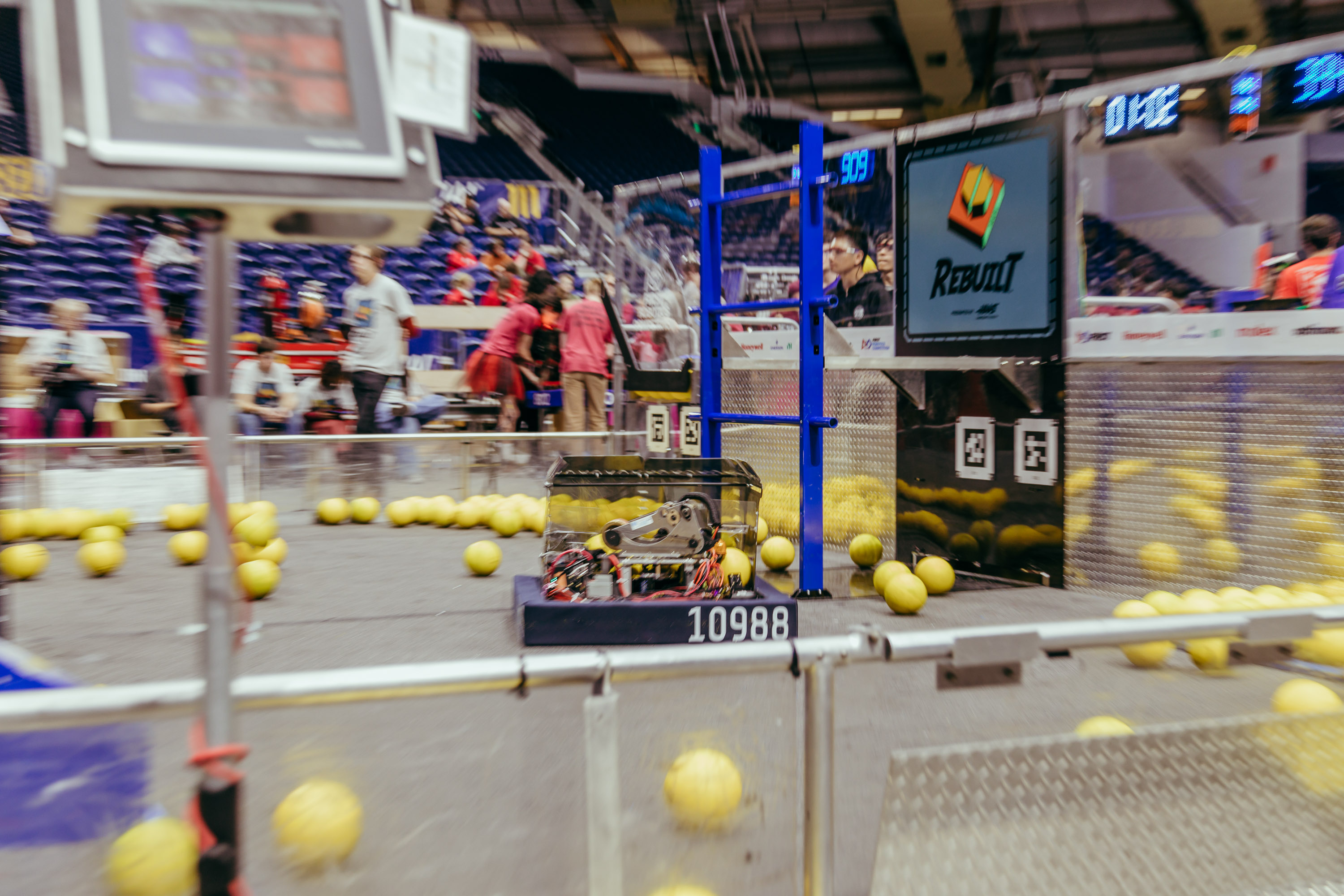Desert Storm 10988 at competition